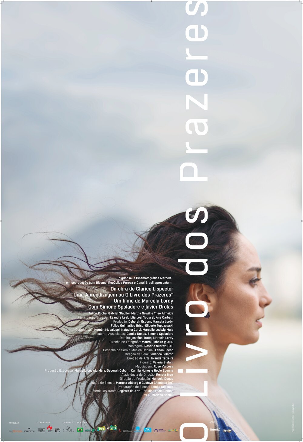 o-livro-dos-prazeres-poster