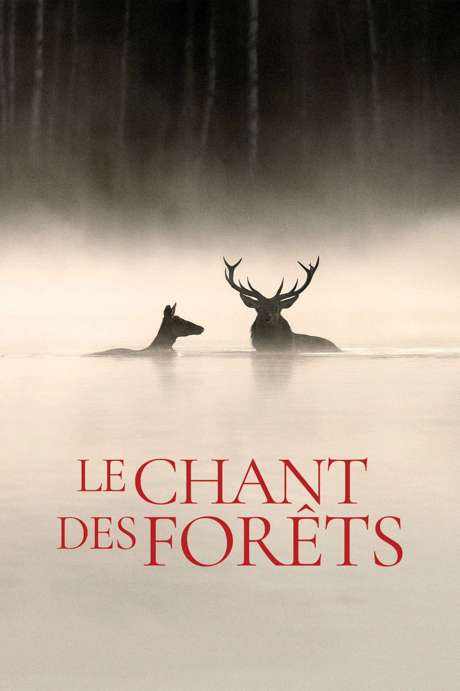 Cartaz_O_Canto_da_Floresta